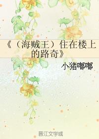 (海賊王)住在樓上的路奇