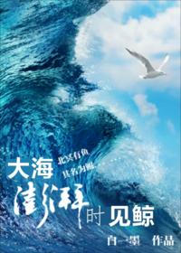 大海澎湃時見鯨
