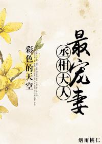 丞相大人最寵妻