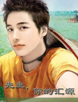 先生，你的彙源