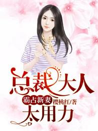 霸占新妻：總裁大人太用力