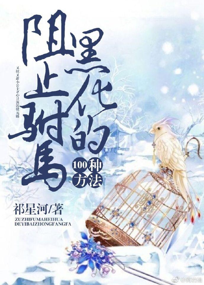 阻止驸馬黑化的100種方法