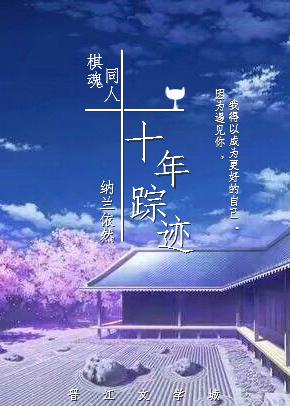 棋魂同人之十年蹤跡