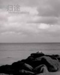 歸途
