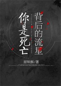 你是死亡背後的流星