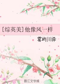 [綜英美]他像風一樣
