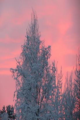 還有一生的時間