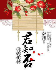 月滿維揚君知否