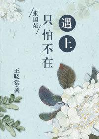 （張國榮同人）只怕不再遇上