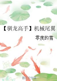 【馴龍高手】機械尾翼