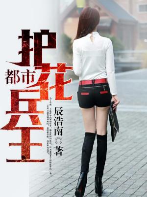 都市護花兵王