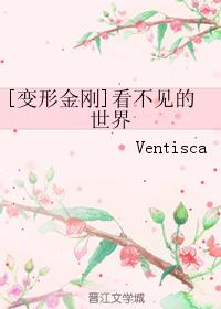 [變形金剛]看不見的世界