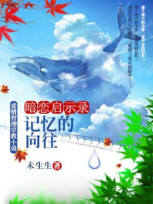 暗戀啓示錄：記憶的向往