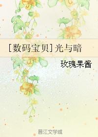 [數碼寶貝]光與暗
