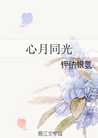 心月同光