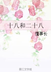 十八和二十八