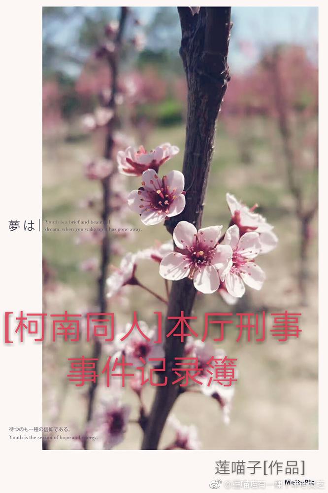 [柯南同人]本廳刑事事件記錄簿