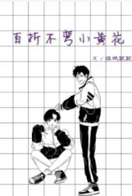 百折不彎小黃花