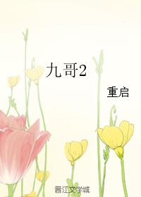 九哥2
