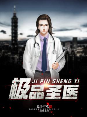 極品聖醫