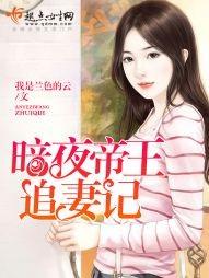 暗夜帝王追妻記