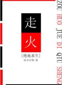 走火[絕地求生]