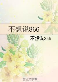 不想說866