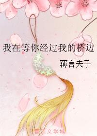 我在等你經過我的橋邊