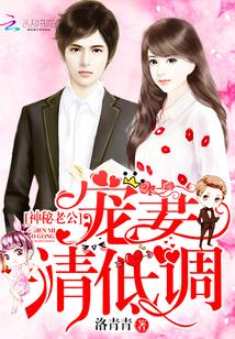 神秘老公，寵妻請低調