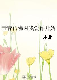 青春仿佛因我愛你開始