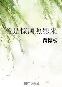 曾是驚鴻照影來