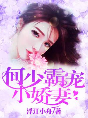 何少霸寵小嬌妻