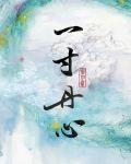 一寸丹心