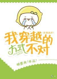 [全職高手]我穿越的方式不對