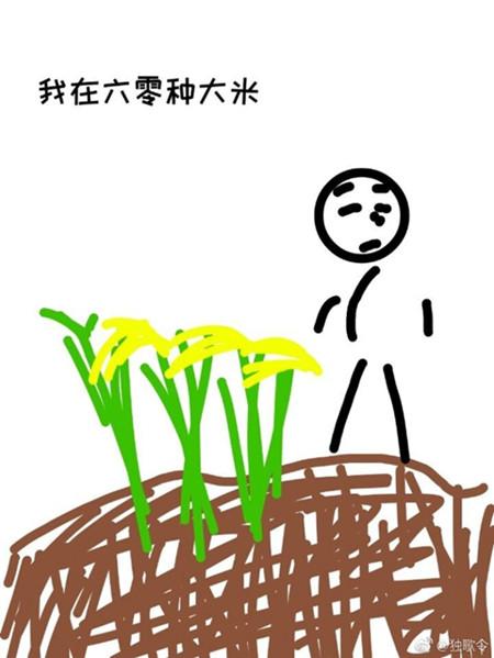 我在六零種大米