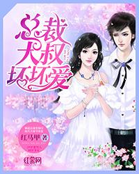 總裁大叔壞壞愛