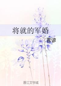 将就的軍婚