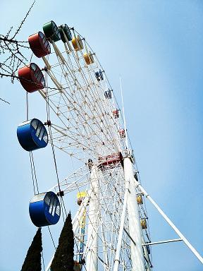 請你到我懷裏來