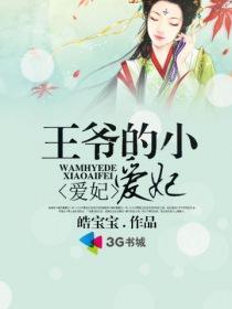 王爺的小愛妃