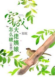 穿成大佬姨娘怎麽破