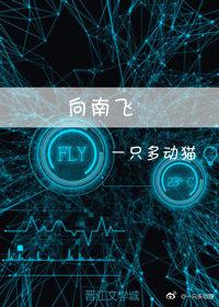 向南飛