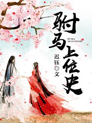 驸馬上位史