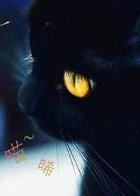 櫃子裏的吸血鬼