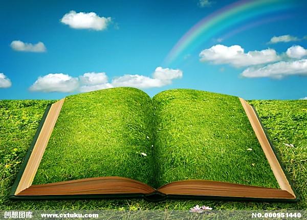 綜影視女配涅槃