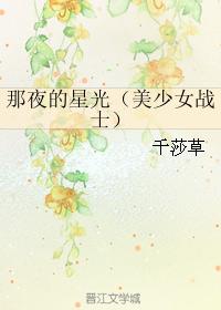 那夜的星光（美少女戰士）