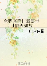 [全職高手][新嘉世]傾蓋如故