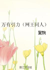 萬有引力（網王同人）