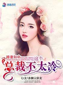 嗜妻如命：這個總裁不太冷