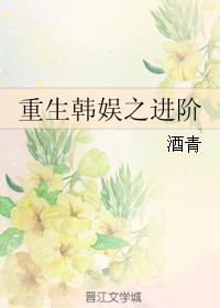 重生韓娛之進階