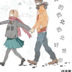真的西北西北好想你